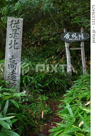 国道152号線 分杭峠 従是北高遠領 国境の石碑 国道152号線 分杭峠 従是北高遠領 国境の石碑 131376475