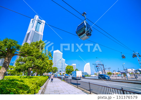 日本の横浜都市景観街路樹の上部は伐採…ロープウェイの通り道にある街路樹。上部が伐採されている 131376579