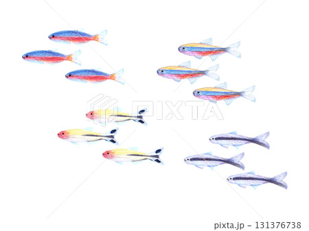 お魚の群れ 131376738