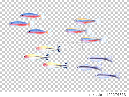 お魚の群れ 131376738