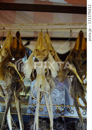 宇宙人のように見えるユニークな干物 宇宙人のように見えるユニークな干物 131376812