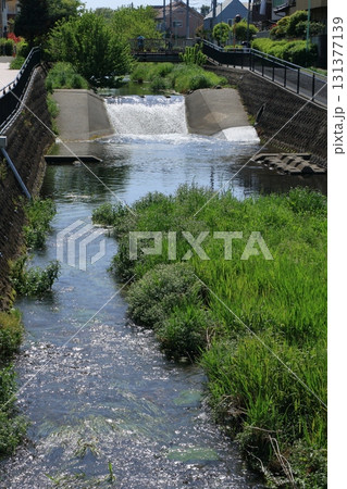 清瀬市落合川の流れ 131377139