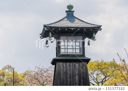 美濃市の春の景色 131377182