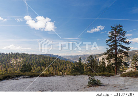Scenic summer landscape in Yosemite National Park with mountains, forest, and sky Scenic summer landscape in Yosemite National Park with mountains, forest, and sky 131377297
