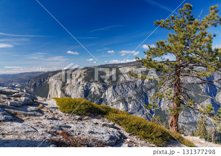 Scenic summer landscape in Yosemite National Park with mountains, forest, and sky 131377298