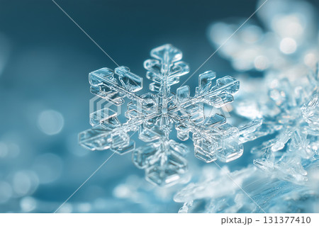 雪の結晶 雪の結晶 131377410