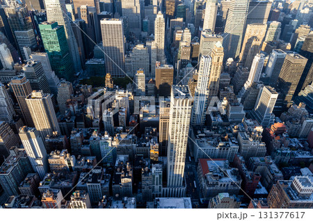 Aerial view of Manhattan with dense skyscrapers 131377617