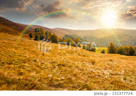 calm autumn day in mountains at sunset. deciduous trees on the grassy hills of the ridge in evening light. sunny alpine scenery in fall season under blue sky with clouds. beauty in nature concept calm autumn day in mountains at sunset. deciduous trees on the grassy hills of the ridge in evening light. sunny alpine scenery in fall season under blue sky with clouds. beauty in nature concept 131377724
