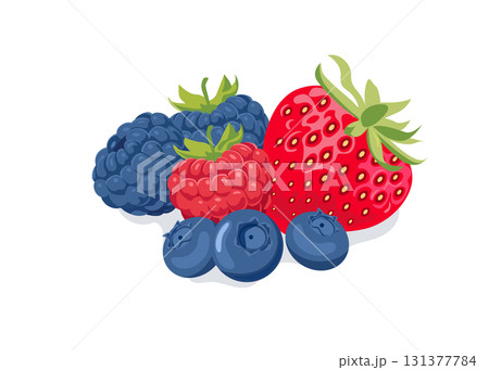 Strawberry, blackberry, raspberry, blueberry vector illustration isolated on white background Strawberry, blackberry, raspberry, blueberry vector illustration isolated on white background 131377784