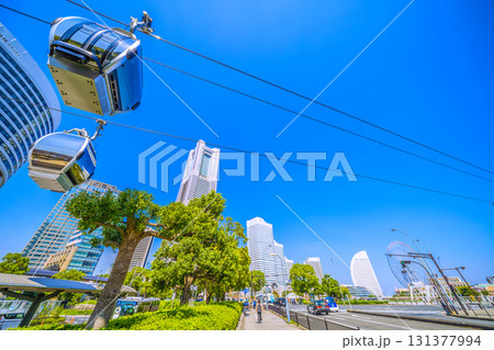 日本の横浜都市景観街路樹の上部は伐採…ロープウェイの通り道にある街路樹。上部が伐採されている 131377994