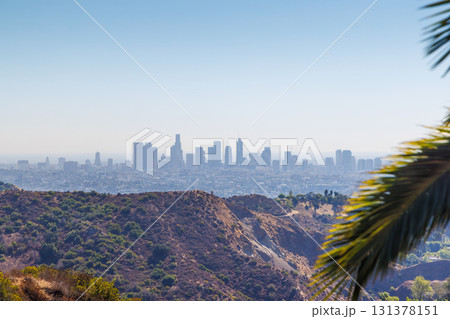 Los Angeles skyline with iconic skyscrapers on the horizon framed by vibrant palm leaves in the foreground 131378151