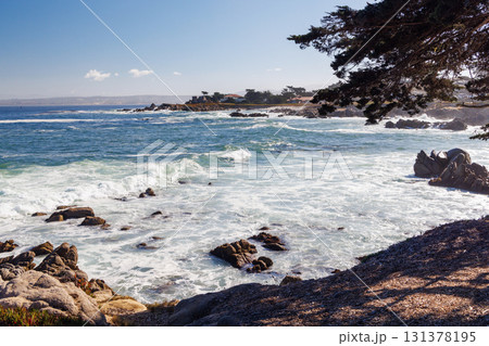 Scenic ocean coast along California 17-Mile Drive on a sunny day 131378195
