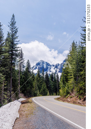 Scenic road in Mount Rainier National Park with fir trees on both sides and a snowy mountain 131378283