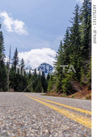Scenic road in Mount Rainier National Park with fir trees on both sides and a snowy mountain 131378284