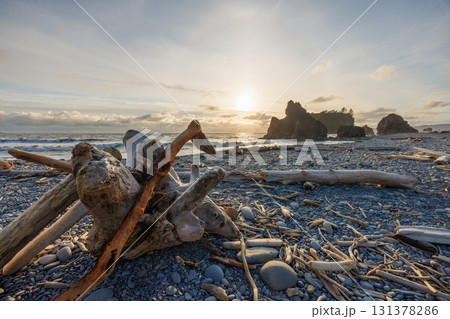 Pacific Ocean coast near Olympic National Park 131378286