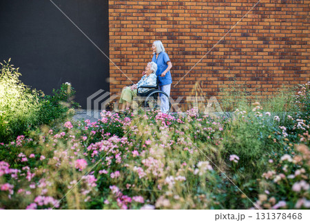 Older nurse pushing senior woman in wheelchair and talking with her. 131378468