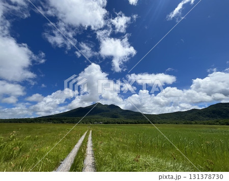 夏の尾瀬ヶ原 131378730