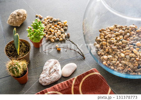 Close up view of natural materials and decorative elements prepared for creating a closed florarium or glass ecosystem. Concept of DIY plant design, eco-conscious living and creative home projects. Close up view of natural materials and decorative elements prepared for creating a closed florarium or glass ecosystem. Concept of DIY plant design, eco-conscious living and creative home projects. 131378773