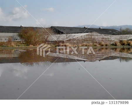 水を張った田んぼとビニールハウスのある田園風景（春の香長平野） 131379896