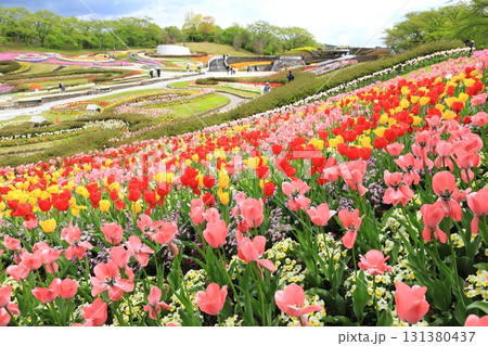 国立杜の湖畔公園2025 131380437