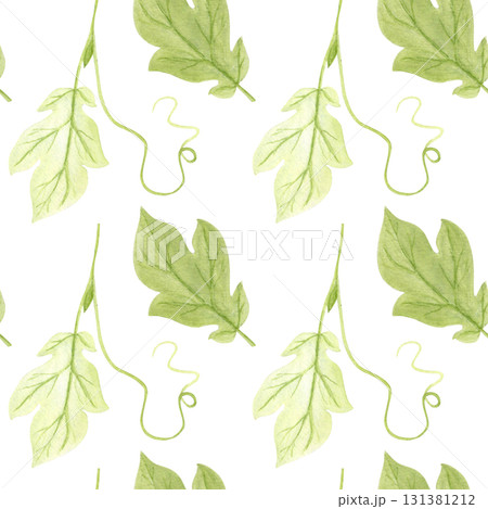 Pumpkin leaves, vine with leaf and tendril set isolated on white. Hand-painted watercolor illustration perfect for autumn harvest compositions, Thanksgiving decor, Halloween designs, cards, invitation 131381212