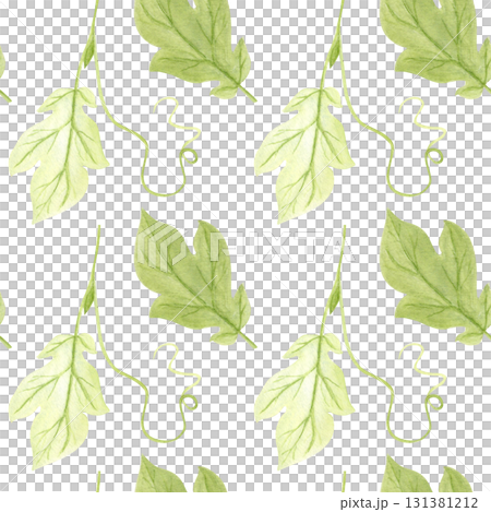 Pumpkin leaves, vine with leaf and tendril set isolated on white. Hand-painted watercolor illustration perfect for autumn harvest compositions, Thanksgiving decor, Halloween designs, cards, invitation 131381212
