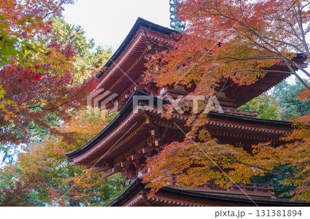 京都　浄瑠璃寺（じょうるりじ）の三重塔と紅葉　 131381894