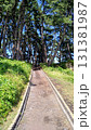 海沿いのまっすぐな遊歩道 131381987