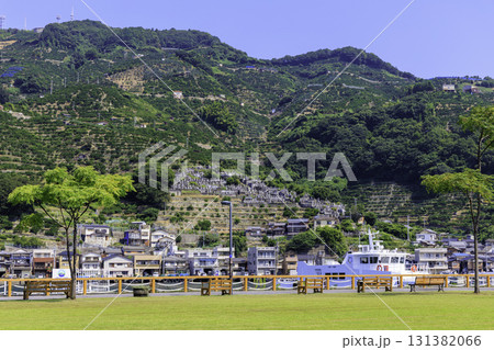愛媛県八幡浜みなっと広場から望む港の船と段々畑の風景 131382066