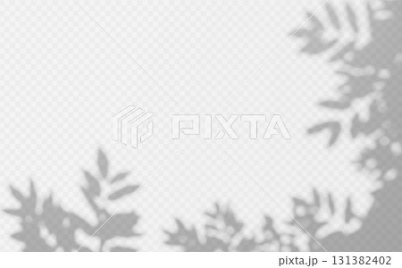 Abstract shadow overlay from foliage tree branch on a transparent background. 131382402