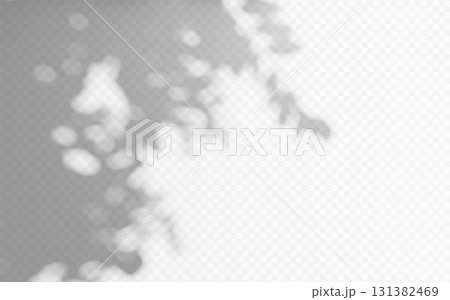 Abstract shadow overlay from foliage tree branch on a transparent background. Abstract shadow overlay from foliage tree branch on a transparent background. 131382469