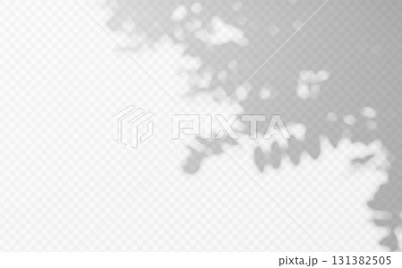 Abstract shadow overlay from foliage tree branch on a transparent background. Abstract shadow overlay from foliage tree branch on a transparent background. 131382505