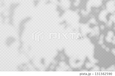 Shadow overlay of abstract foliage branch on transparent background 131382590