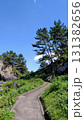 青空に映える新緑の遊歩道 131382656