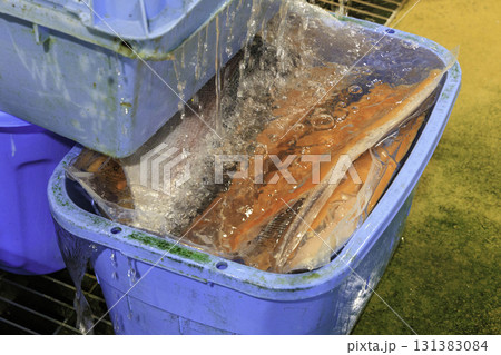 愛媛県八幡浜みなっと広場の新鮮な魚介市場と海産物 131383084