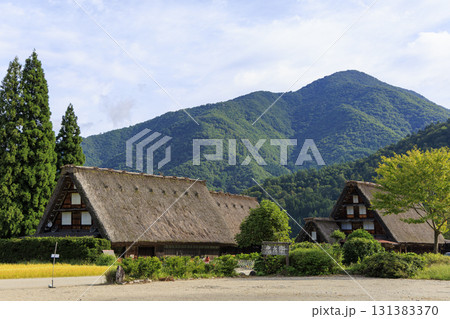 青空と白川郷の合掌造りが映える伝統的な茅葺き屋根の風景 131383370