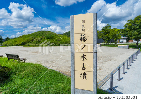 奈良県斑鳩町　史跡藤ノ木古墳 131383381