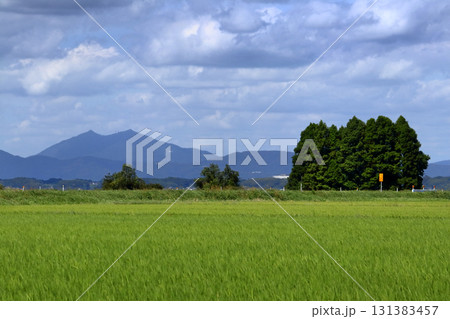 ロマンチック茨城（霞ヶ浦湖畔の大須賀津農村公園付近より望む筑波山。湖畔に吹く風が心地いい。）美浦村 131383457