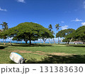 ハワイ カピオラニ公園 ハワイ カピオラニ公園 131383630