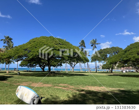 ハワイ カピオラニ公園 ハワイ カピオラニ公園 131383630