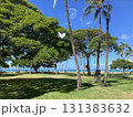 ハワイ カピオラニ公園 ハワイ カピオラニ公園 131383632