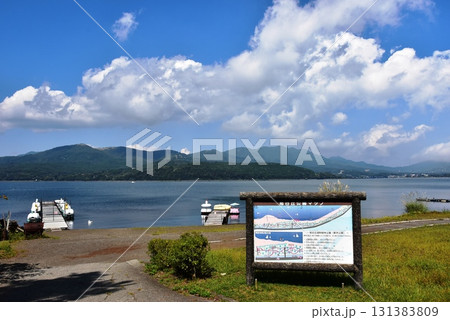 山梨県　山中湖旭日丘湖畔緑地公園散策路と旭日丘公園マップ 131383809