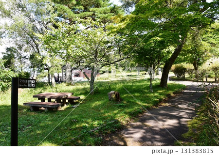 山梨県 山中湖マリモ広場道しるべと散策路と深緑 山梨県 山中湖マリモ広場道しるべと散策路と深緑 131383815