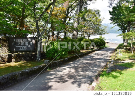 山梨県　山中湖園地案内板と散策路と深緑 131383819