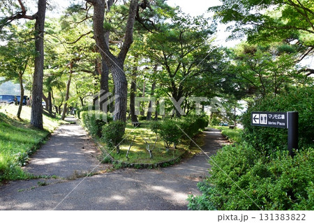 山梨県 山中湖マリモ広場道しるべと散策路と深緑 山梨県 山中湖マリモ広場道しるべと散策路と深緑 131383822