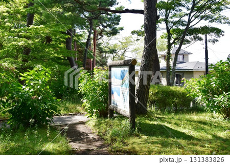 山梨県 山中湖旭日丘湖畔緑地公園散策路と旭日丘公園マップ 山梨県 山中湖旭日丘湖畔緑地公園散策路と旭日丘公園マップ 131383826