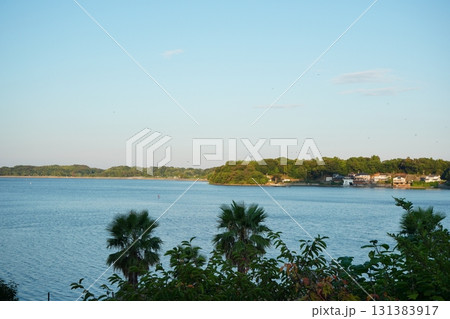 穏やかな青い湖と奥に広がる緑の森と住宅地が映える初夏の風景写真 131383917