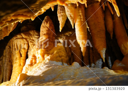 鍾乳洞内部のオレンジ色に輝く鍾乳石と天井から垂れるつらら石の神秘的な風景 鍾乳洞内部のオレンジ色に輝く鍾乳石と天井から垂れるつらら石の神秘的な風景 131383920