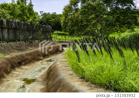 吉野ヶ里歴史公園　環濠と逆茂木（乱杭）　佐賀県吉野ヶ里町 131383932