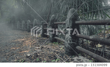 View of the old stone bridge path disappearing into the dense fog of a forest. The scene is scary and mysterious. Dramatic smoke or fog effect. Mockup. Copy Space. Wallpaper or Halloween background 131384099